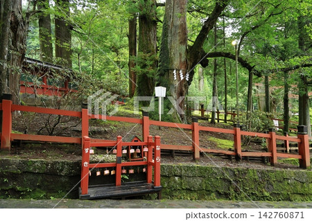 The Married Couple Cedar Trees at Nikko Futayama Arashijinja Shrine The Married Couple Cedar Trees at Nikko Futayama Arashijinja Shrine 142760871
