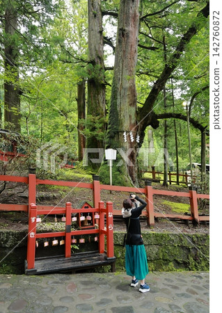 I photographed the married couple cedar trees at Nikko Nizan Kōjin Shrine. I photographed the married couple cedar trees at Nikko Nizan Kōjin Shrine. 142760872