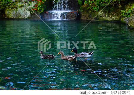 Gero Onsen Koyo (Gifu Prefecture) Gero Onsen Koyo (Gifu Prefecture) 142760921
