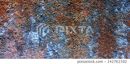 Vibrant Orange and Blue Mossy Wall Texture Vibrant Orange and Blue Mossy Wall Texture 142761592