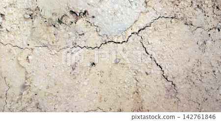Cracked Beige Earth and Mud Texture Cracked Beige Earth and Mud Texture 142761846