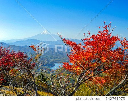 Autumn leaves, Lake Daibosatsu, and Mount Fuji Autumn leaves, Lake Daibosatsu, and Mount Fuji 142761975