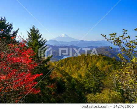 秋葉和富士山景色 秋葉和富士山景色 142762000