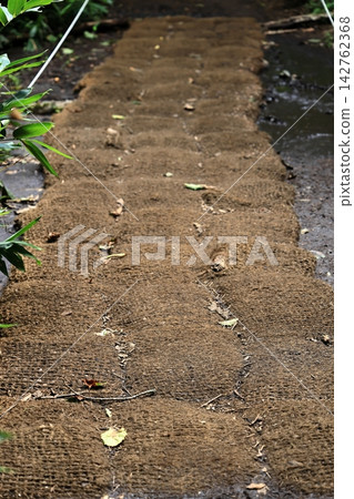 Sandbags on the walking trails of Senjogahara Sandbags on the walking trails of Senjogahara 142762368