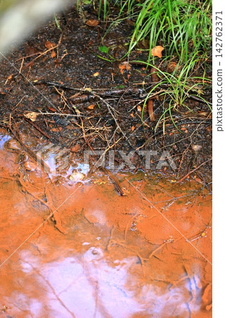 Senjogahara's red river Senjogahara's red river 142762371