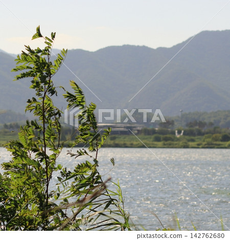 Riverside Plant with Mountain Background Riverside Plant with Mountain Background 142762680