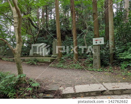參拜香取神社:漫步林間 參拜香取神社:漫步林間 142762682