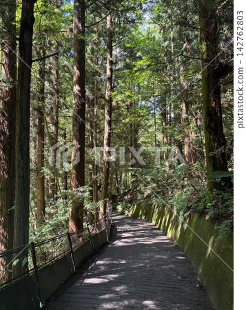 Boardwalk of Fukiwori Falls Boardwalk of Fukiwori Falls 142762803