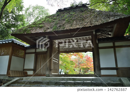 京都市左京區法然院三門的秋景 142762887