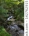 Clear current flowing through the forest 142762915