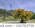tranquil scenery of the countryside 142763736