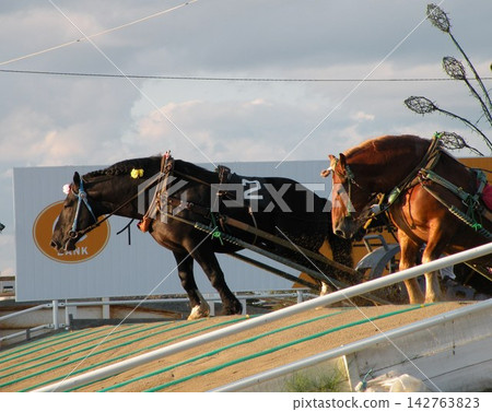 Ban'ei Horse Racing (Obihiro) Hokkaido Horse Racing (Banba) Ban'ei Horse Racing (Obihiro) Hokkaido Horse Racing (Banba) 142763823