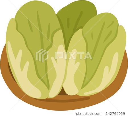 Napa Cabbage in Basket 142764039