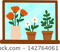 Potted Plants on Window Sill 142764061