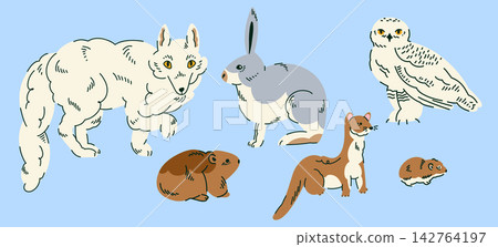 Arctic wildlife collection featuring polar fox, hare, snowy owl, Ermine, Tundra vole for children education, nursery decor, wildlife posters, animal books, educational cards and polar themed projects Arctic wildlife collection featuring polar fox, hare, snowy owl, Ermine, Tundra vole for children education, nursery decor, wildlife posters, animal books, educational cards and polar themed projects 142764197