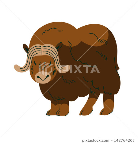 Musk ox illustration with thick brown fur and curved horns for Arctic wildlife education, children books, animal cards, nature posters, nursery decor and polar themed projects Musk ox illustration with thick brown fur and curved horns for Arctic wildlife education, children books, animal cards, nature posters, nursery decor and polar themed projects 142764205