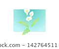 Color flowers 142764511