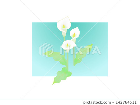Color flowers 142764511