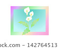 Colorful flowers and colorful frames 142764513