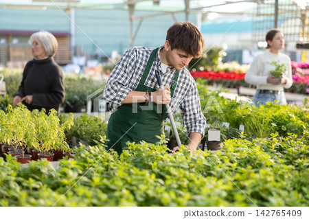 employee cleans the store 142765409