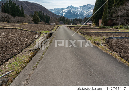 A farm road that runs through the middle of the terraced rice fields in the Aoni settlement of Hakuba Village. A farm road that runs through the middle of the terraced rice fields in the Aoni settlement of Hakuba Village. 142765447