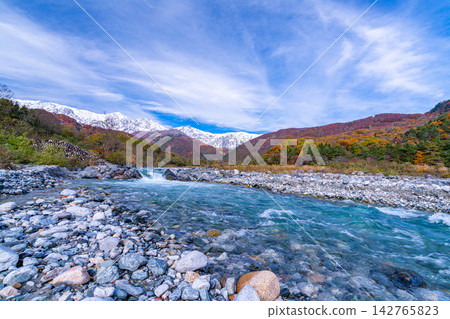 Autumn foliage of the Matsukawa River and three-tiered leaves as seen from near Hakuba Ohashi Bridge in Hakuba Village [Nagano Prefecture] 142765823