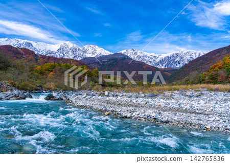 Autumn foliage of the Matsukawa River and three-tiered leaves as seen from near Hakuba Ohashi Bridge in Hakuba Village [Nagano Prefecture] 142765836