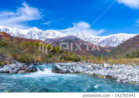 Autumn foliage of the Matsukawa River and three-tiered leaves as seen from near Hakuba Ohashi Bridge in Hakuba Village [Nagano Prefecture] 142765841