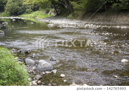 Serenity of the River 142765993