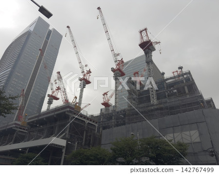 東京,陰天,一隻鶴在空中盤旋。 東京,陰天,一隻鶴在空中盤旋。 142767499