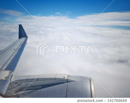 Airplane wing Airplane wing 142768689