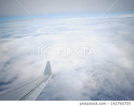 Airplane wing Airplane wing 142768705