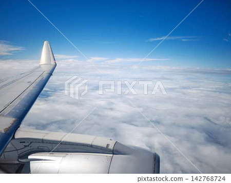 Airplane wing Airplane wing 142768724