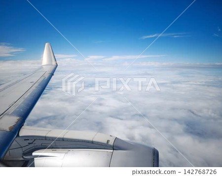 Airplane wing Airplane wing 142768726