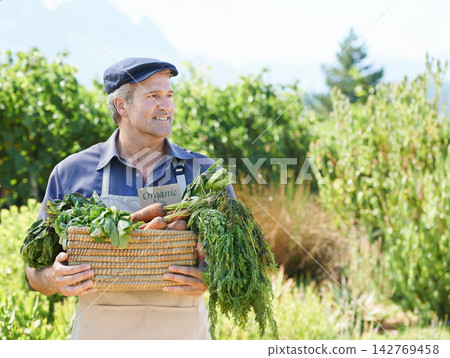 Basket, farmer or man with vegetables on countryside for harvesting, agriculture and organic food. Nature, mature male owner and small business with carrots, crops and supplier thinking in Australia Basket, farmer or man with vegetables on countryside for harvesting, agriculture and organic food. Nature, mature male owner and small business with carrots, crops and supplier thinking in Australia 142769458