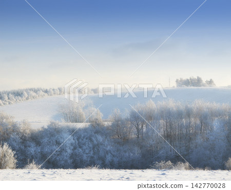 Nature, snow and trees in landscape, morning and clouds in sky outdoor, calm and space in forest. Environment, woods and winter in Canada, branches and texture of plants, earth and weather of ice Nature, snow and trees in landscape, morning and clouds in sky outdoor, calm and space in forest. Environment, woods and winter in Canada, branches and texture of plants, earth and weather of ice 142770028
