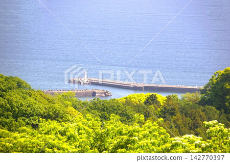 Shonan Plain 142770397
