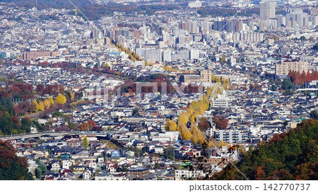 Ginkgo tree lined streets of Hachioji as seen from Mount Takao's Konpiradai Ginkgo tree lined streets of Hachioji as seen from Mount Takao's Konpiradai 142770737