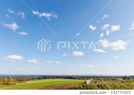 Farm work harvesting dent corn using a tractor (Autumn in Hokkaido) 142771072