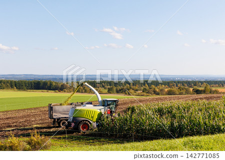 Farm work harvesting dent corn using a tractor (Autumn in Hokkaido) Farm work harvesting dent corn using a tractor (Autumn in Hokkaido) 142771085