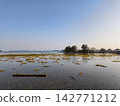 Clear shallow sea view with coral reefs low tide 142771212