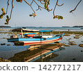 Wooden Boat Framed by Branches 142771217