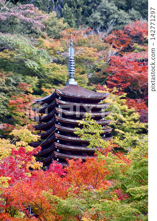 秋季談山神社/十三層寶塔(奈良縣櫻井市) 秋季談山神社/十三層寶塔(奈良縣櫻井市) 142771297