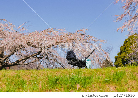 一輛嬰兒車，背景是春日的藍天和櫻花。 142771630