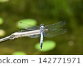 Katano Botanical Garden 142771971