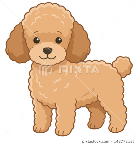 玩具獅子狗插圖 玩具獅子狗插圖 142772155