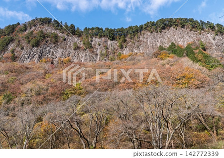 奈良縣佐仁村屏風岩公園的秋葉正值最佳觀賞期。 奈良縣佐仁村屏風岩公園的秋葉正值最佳觀賞期。 142772339