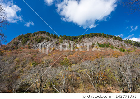 The autumn leaves are at their peak at Byobu-iwa Park in Soni Village, Nara Prefecture. The autumn leaves are at their peak at Byobu-iwa Park in Soni Village, Nara Prefecture. 142772355