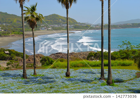 Kanegahama View Park in spring (Hyuga City, Miyazaki Prefecture) Kanegahama View Park in spring (Hyuga City, Miyazaki Prefecture) 142773036