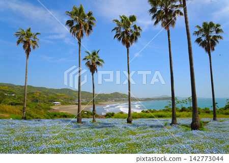 Kanegahama View Park in spring (Hyuga City, Miyazaki Prefecture) Kanegahama View Park in spring (Hyuga City, Miyazaki Prefecture) 142773044